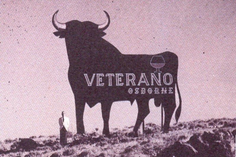 Primer-Toro-.jpg