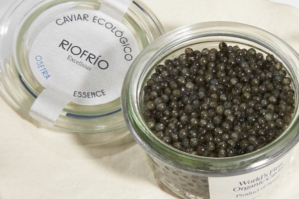 CAVIAR.jpg CAVIAR.jpg