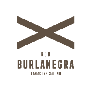 bn-logo.png