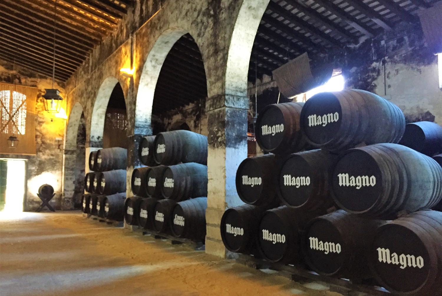 magno_celler_experience_v1.jpg