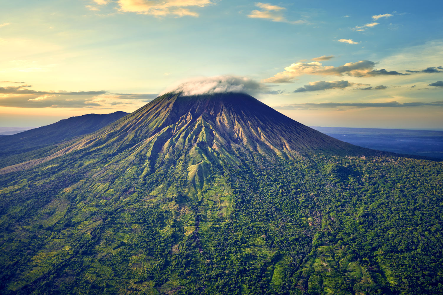 flor_de_cana_header.jpg flor_de_cana_header.jpg