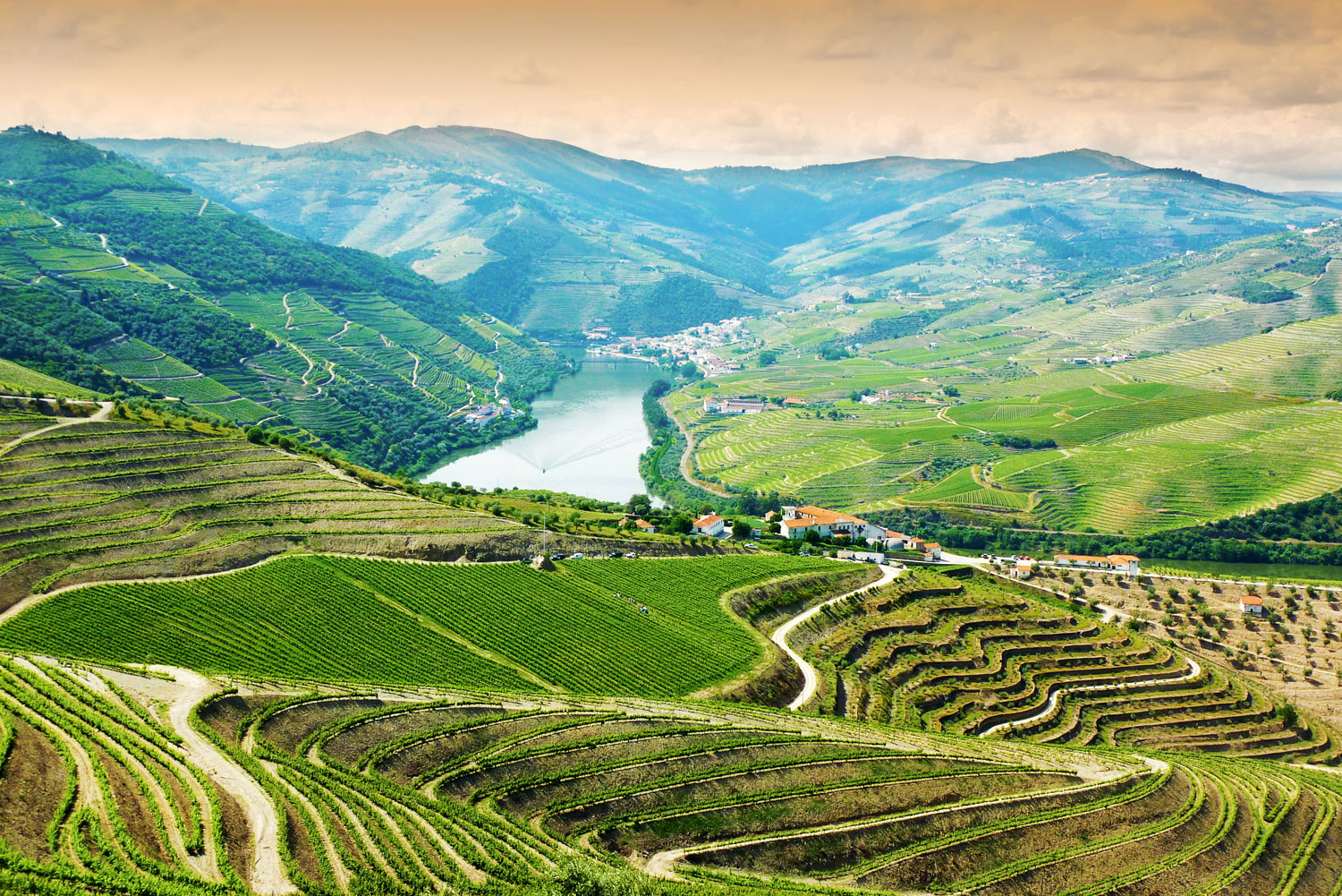 oporto_header.jpg oporto_header.jpg