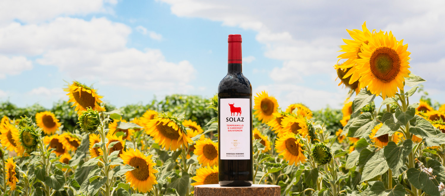 solaz_header_v2.jpg