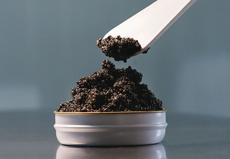 Tour, premium tasting, dive and caviar production