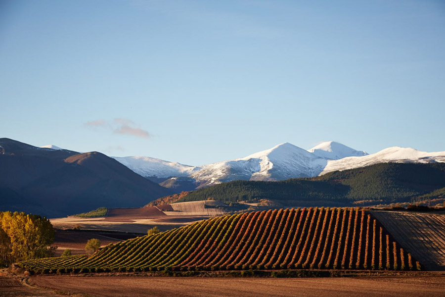 vina_cumbrero_module_1.jpg vina_cumbrero_module_1.jpg