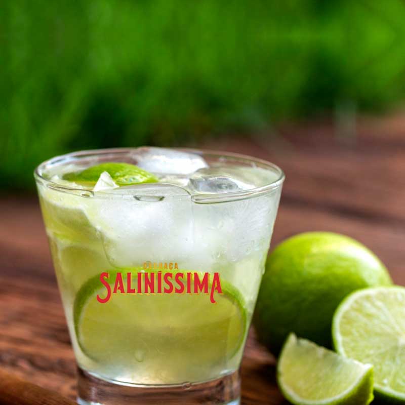 salinissima-module-2-2.jpg salinissima-module-2-2.jpg