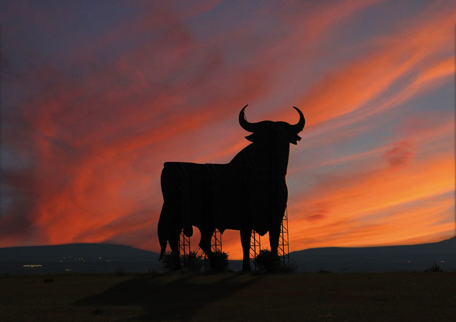 toro_de_osborne_distribuidor.jpg toro_de_osborne_distribuidor.jpg