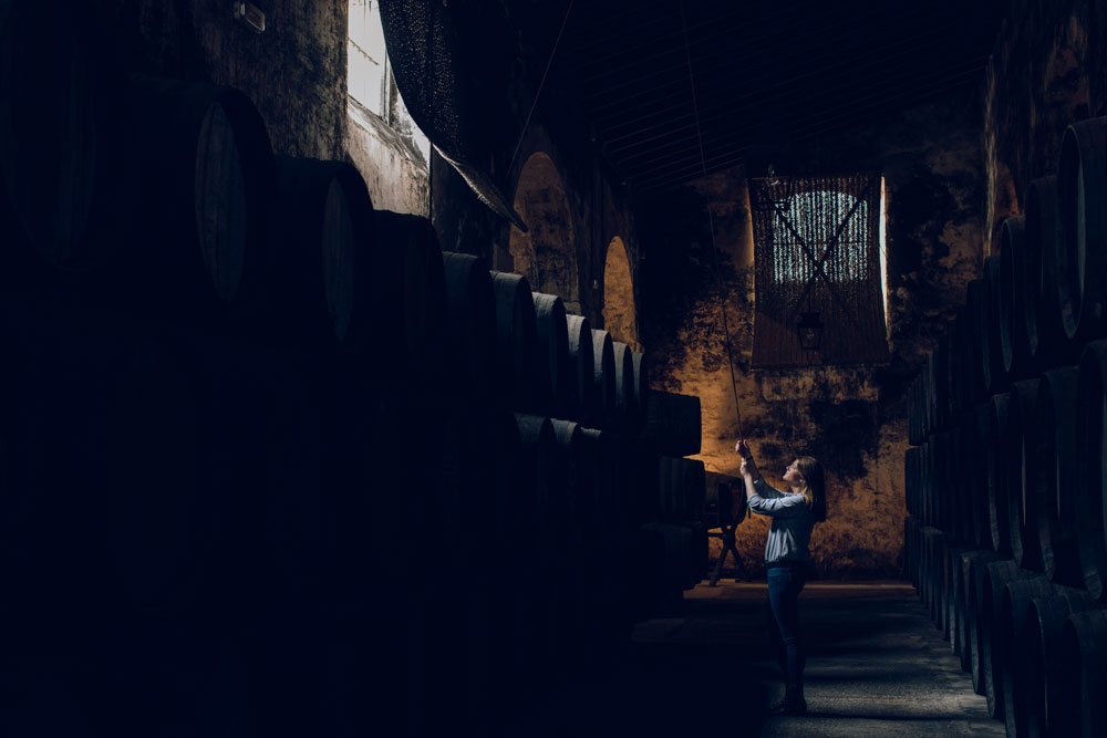 rare_vors_celler_experience.jpg