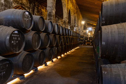 bodegas_cadiz_galeria_5.jpg