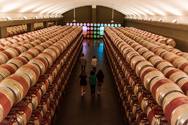 GUIDED PREMIUM VISIT TO MONTECILLO WINERY
