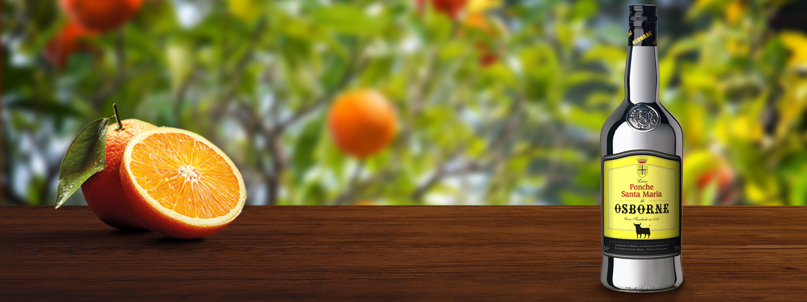 ponche_header_v2.jpg ponche_header_v2.jpg