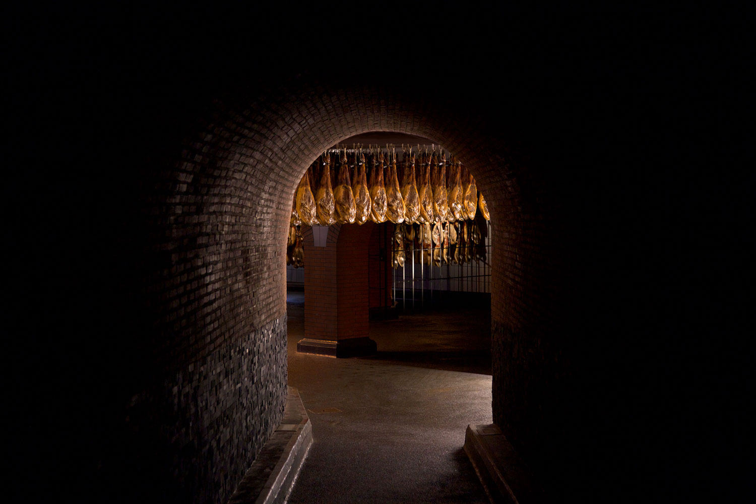 bodega_cinco_jotas_header.jpg