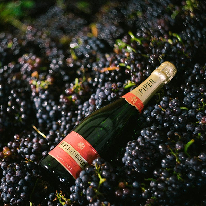 piper-heidsieck-module-2.jpg piper-heidsieck-module-2.jpg