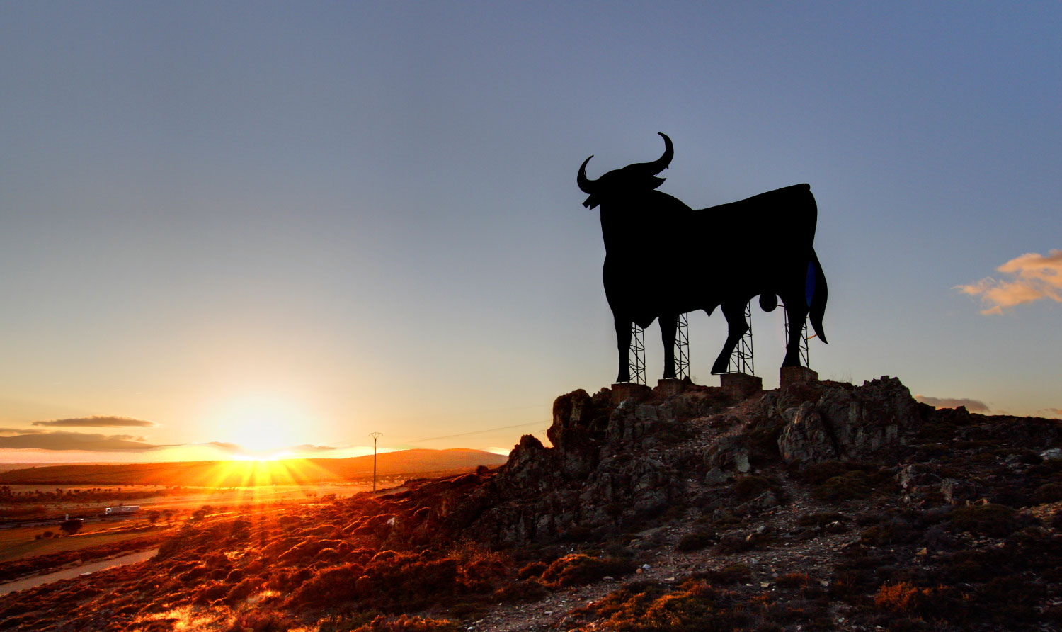 toro_osborne_header_v8.jpg