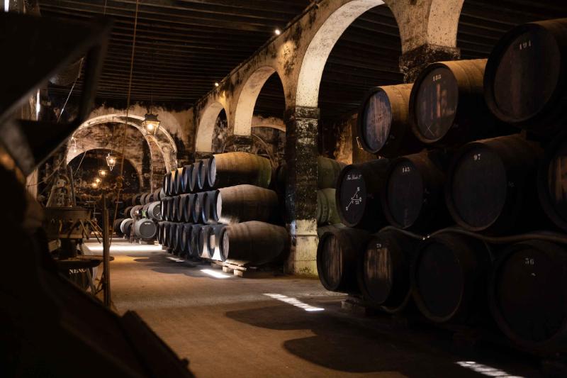 VISITA GUIADA A BODEGAS DE MORA