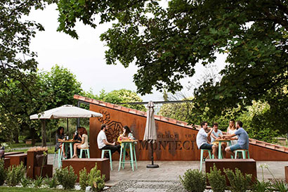 WINE GARDEN